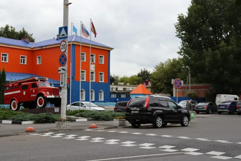 В Брянске за 9 месяцев погибли два пешехода вне переходов